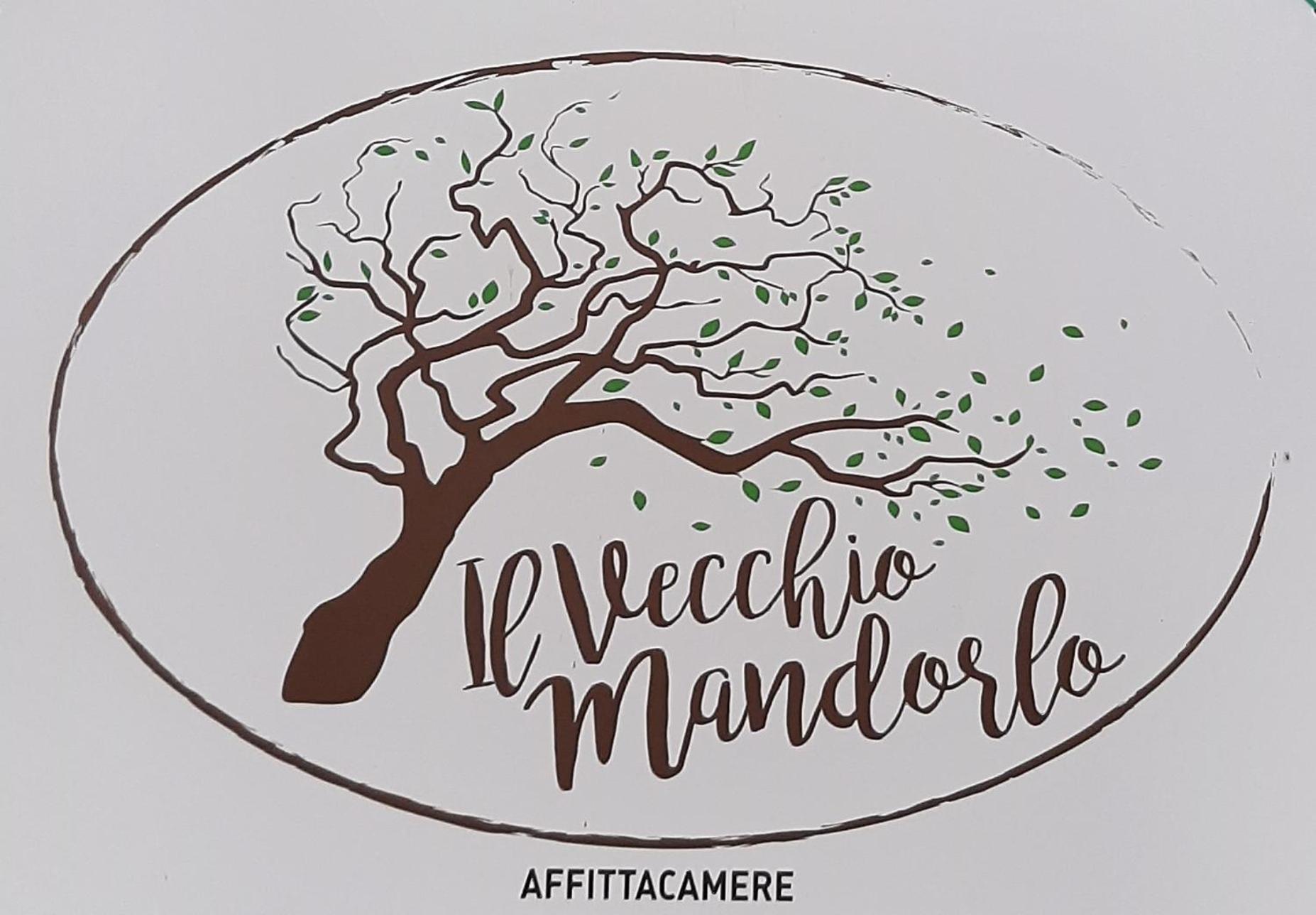 Affittacamere Il Vecchio Mandorlo 夸拉塔 外观 照片